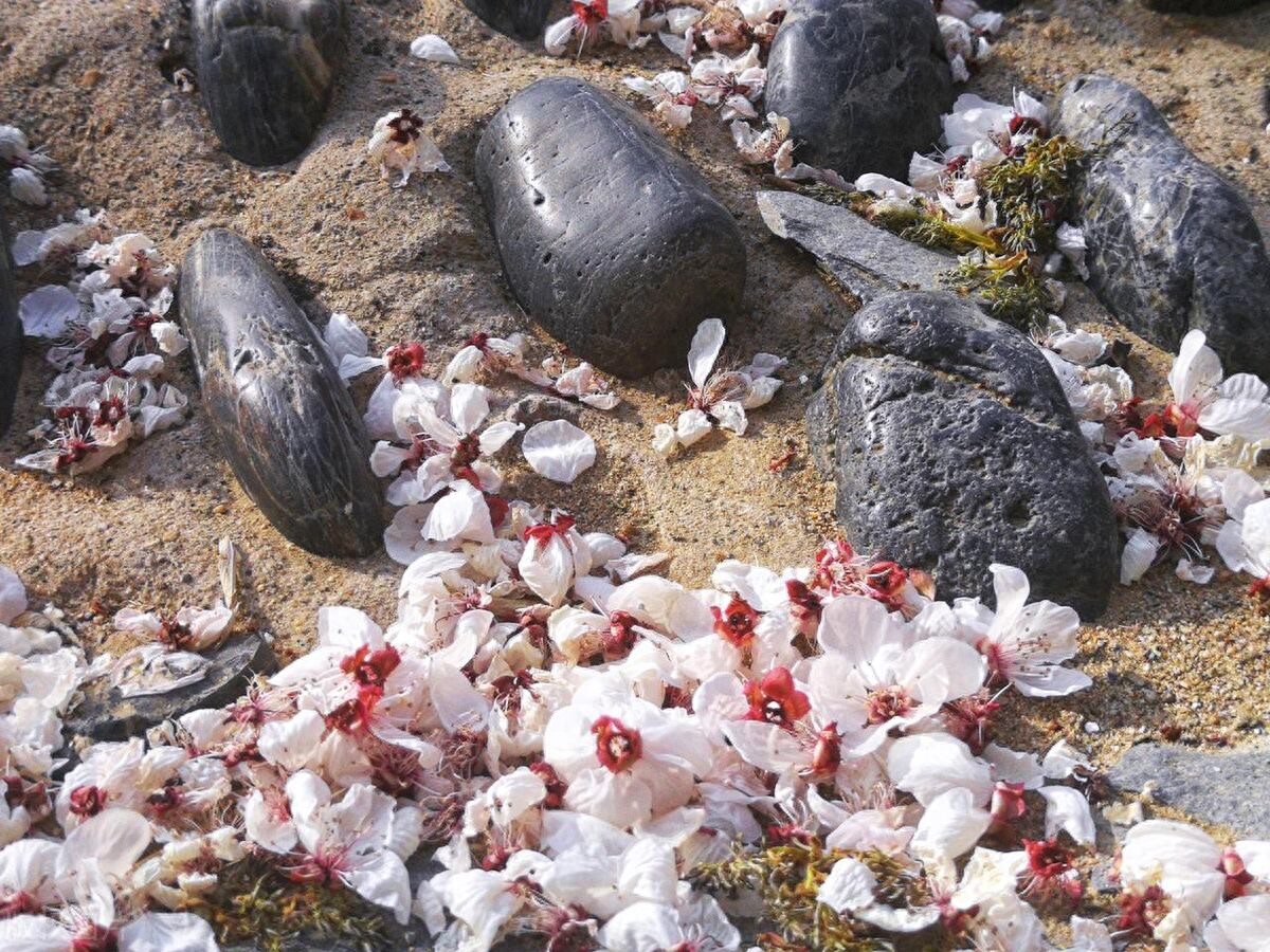 无可奈何_无可奈何的学习状态_无可奈何的工作困境