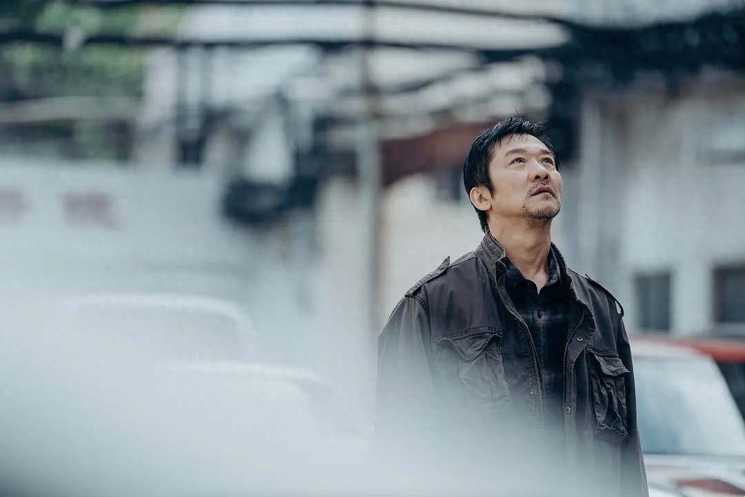 向光花盛开_向光花盛开 影片分析 网络约S群体