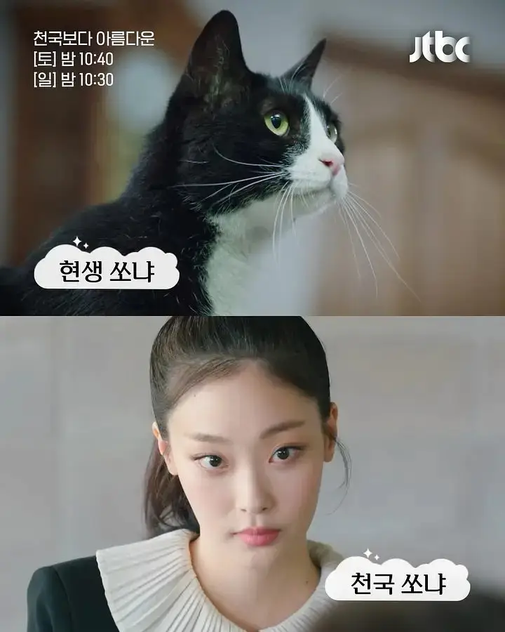 模范出租车第三季_模范出租车3_模范出租车演员表