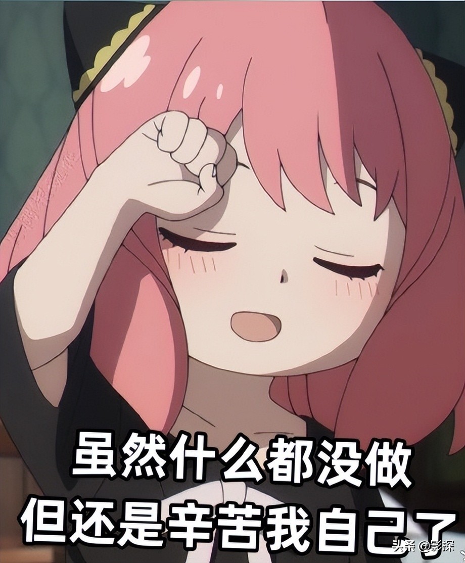 原作漫画销量_间谍过家家第三季_间谍过家家 动画评价