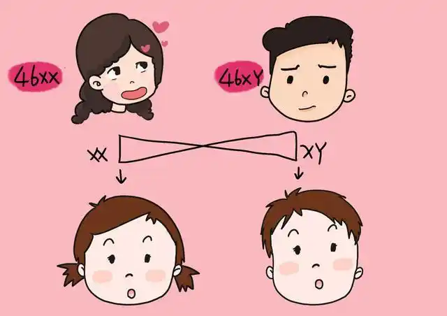 左撇子女孩_左撇子孩子大脑发育_左撇子孩子遗传因素