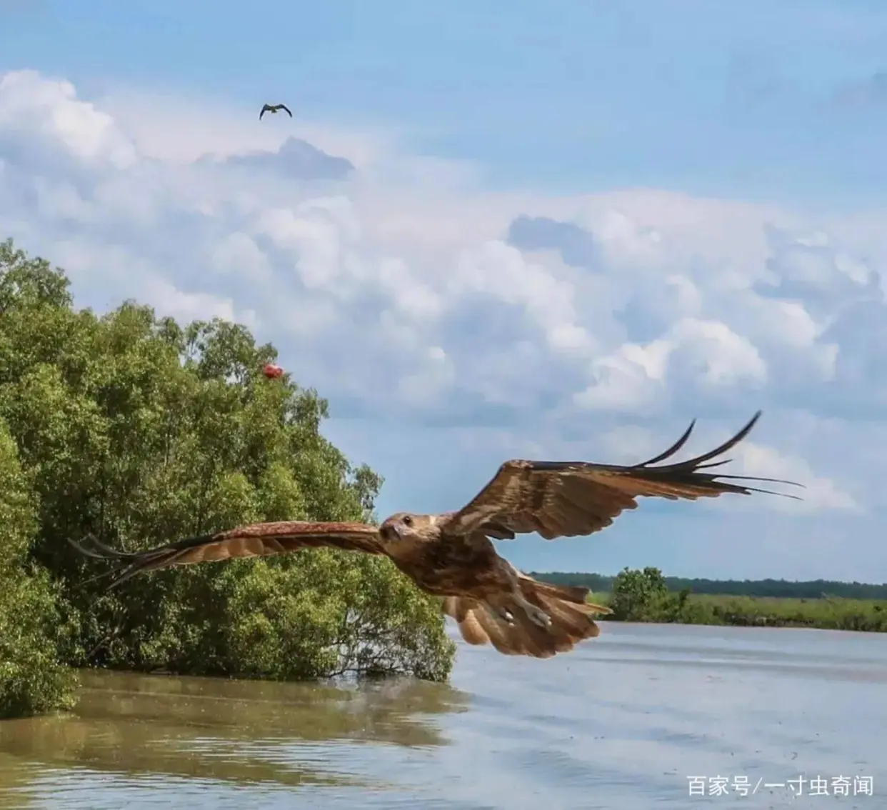 左撇子大脑结构特点_左撇子更聪明科学依据_左撇子女孩