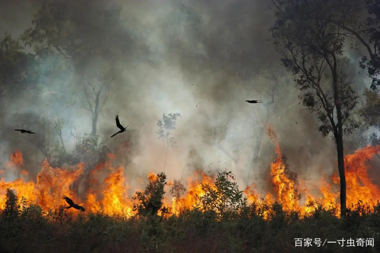 左撇子更聪明科学依据_左撇子女孩_左撇子大脑结构特点