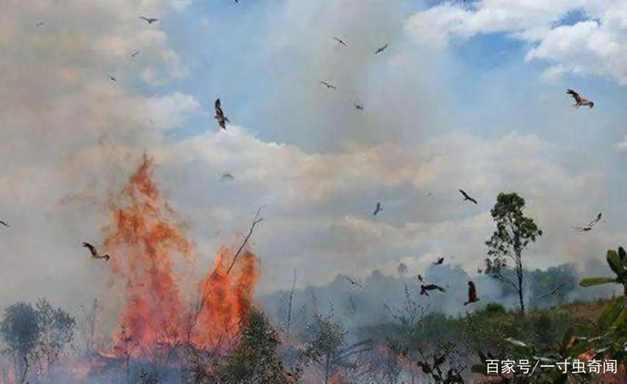 左撇子女孩_左撇子更聪明科学依据_左撇子大脑结构特点