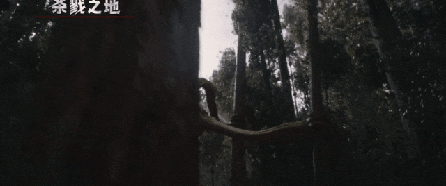 铁血战士杀戮之地剧情解析_铁血战士杀戮之地影评_铁血战士：杀戮之地