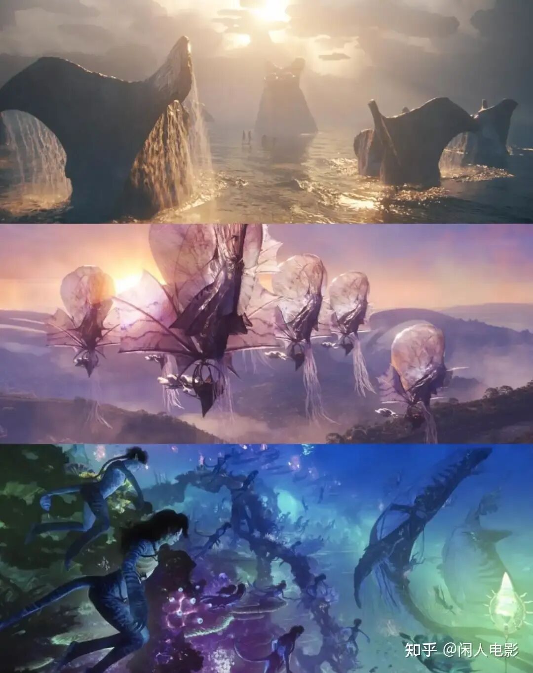 阿凡达3新角色深度解析_阿凡达3：火与烬_阿凡达3火与烬剧情评价