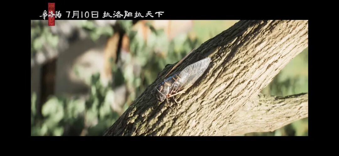 三国第一部争洛阳_三国第一部：争洛阳_追光动画三国系列