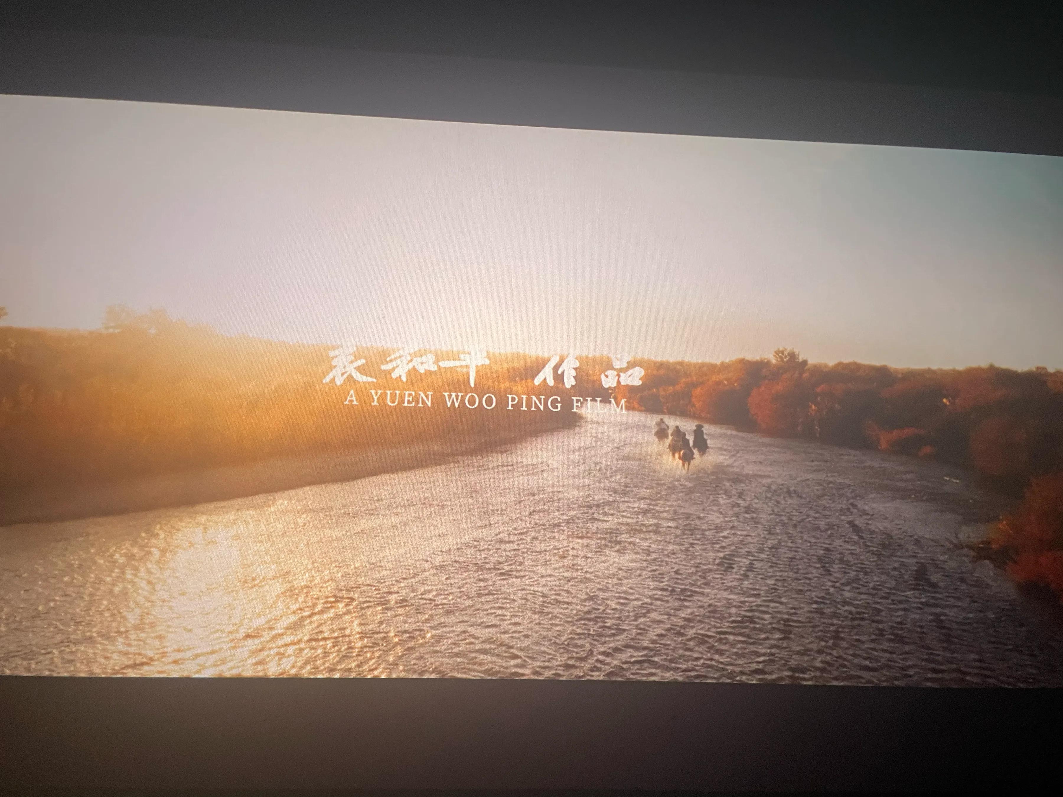 镖人风起大漠电影评价_陈丽君李云霄演技分析_镖人风起大漠