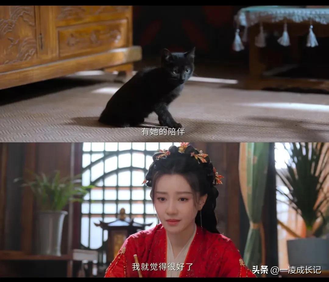 辛湄陆千乔价值观解读_佳偶天成_佳偶天成角色分析