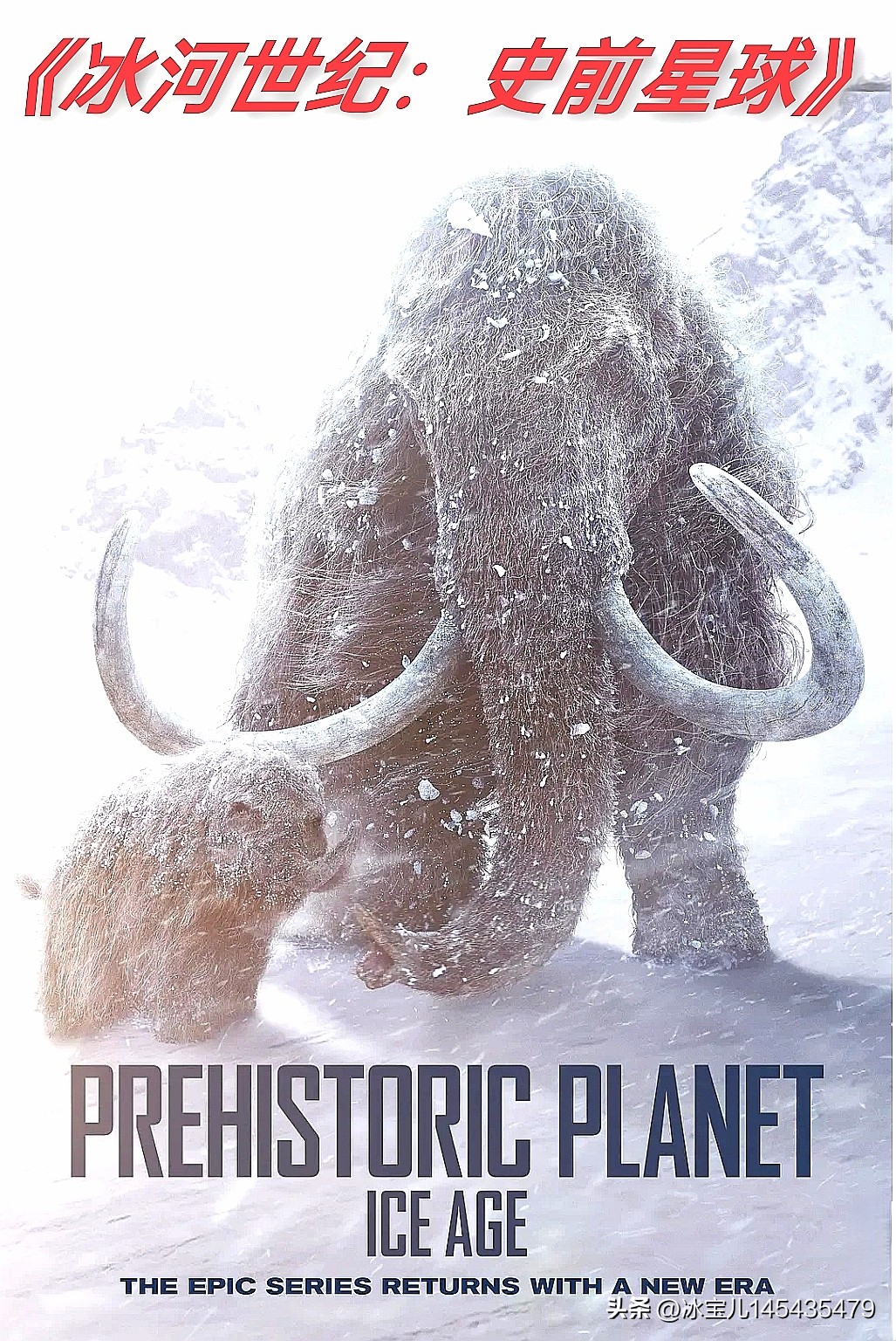 2025英剧推荐_悬疑剧情_英剧推荐