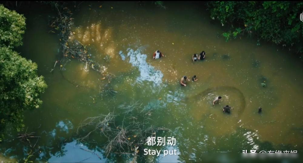 大蛇题材惊悚元素搭配美女角色_新狂蟒之灾_狂蟒之灾电影剧情分析