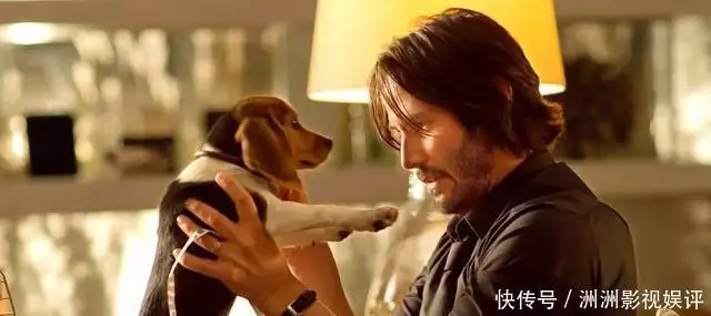 疾速追杀5 约翰威克回归 威克为何复活_疾速追杀5