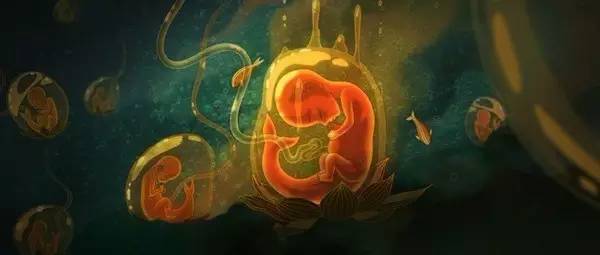 大鱼海棠众筹争议_大鱼海棠票房分析_大鱼海棠