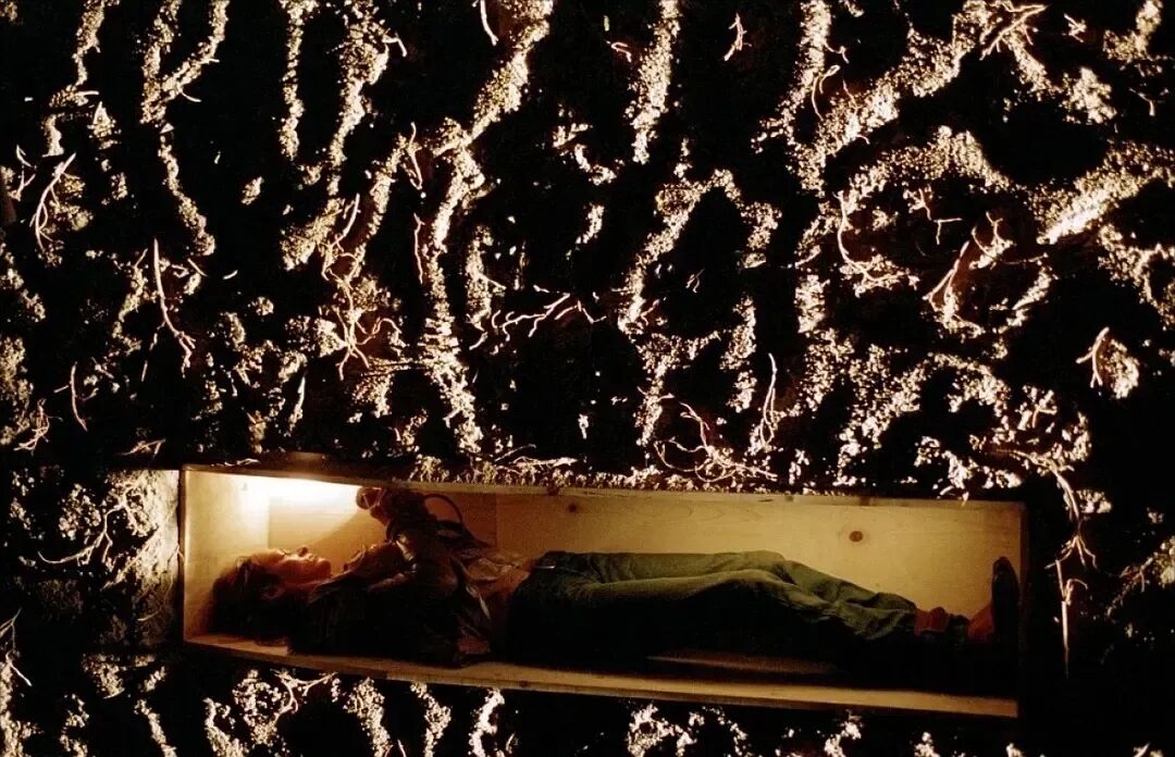 杀死比尔:血色全传_杀死比尔昆汀暴力美学电影博物馆_杀死比尔青叶屋大战黑白转换