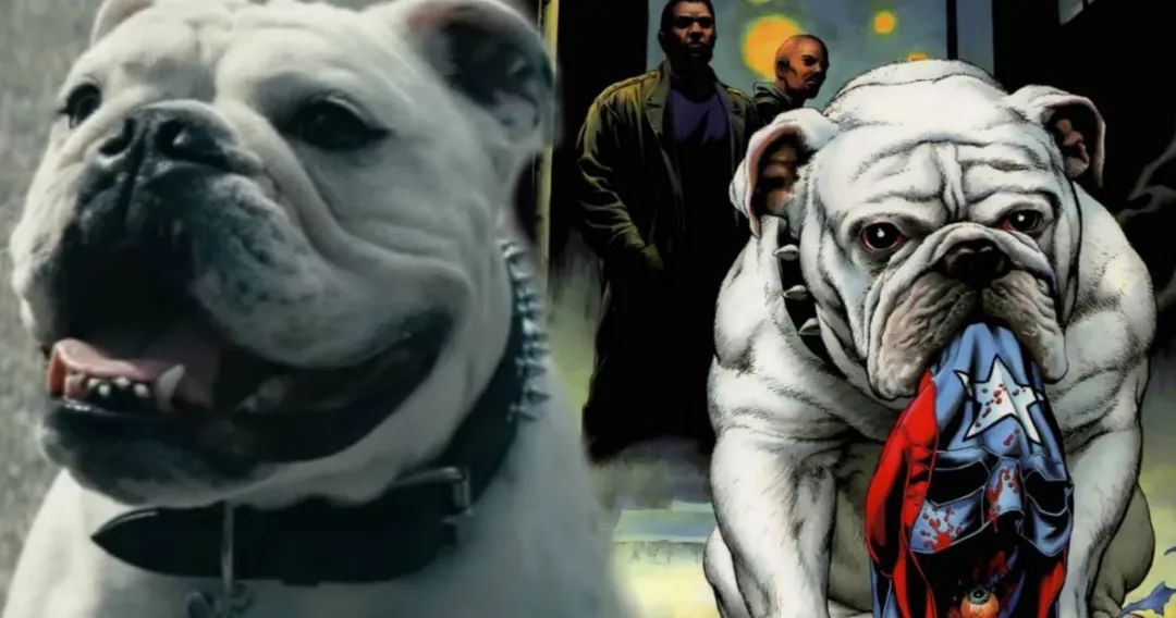 黑袍纠察队第五季_黑袍纠察队第三季剧情改编_黑袍纠察队与漫画剧情差异