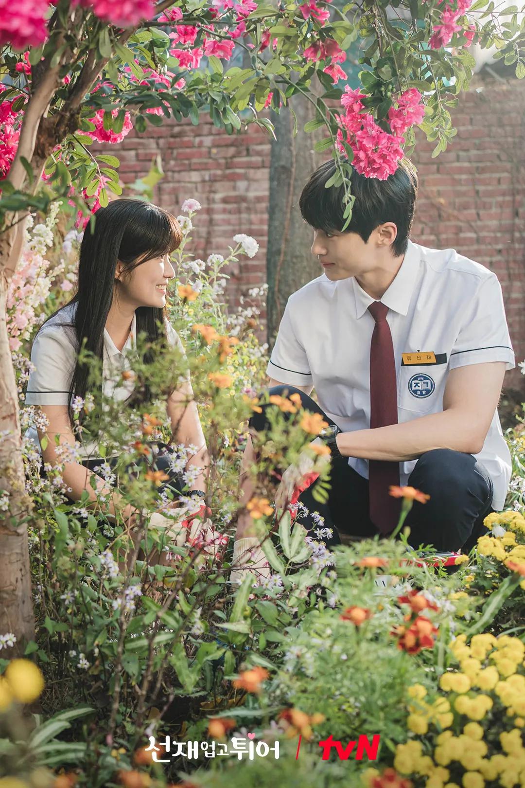 韩综剧评_2026韩剧推荐_韩剧高分推荐