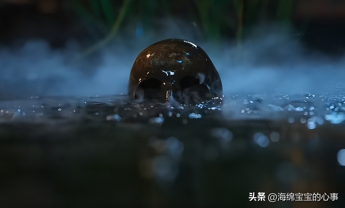 苏晓彤王子奇演技退步_御赐小仵作2剧情评价_御赐小仵作2