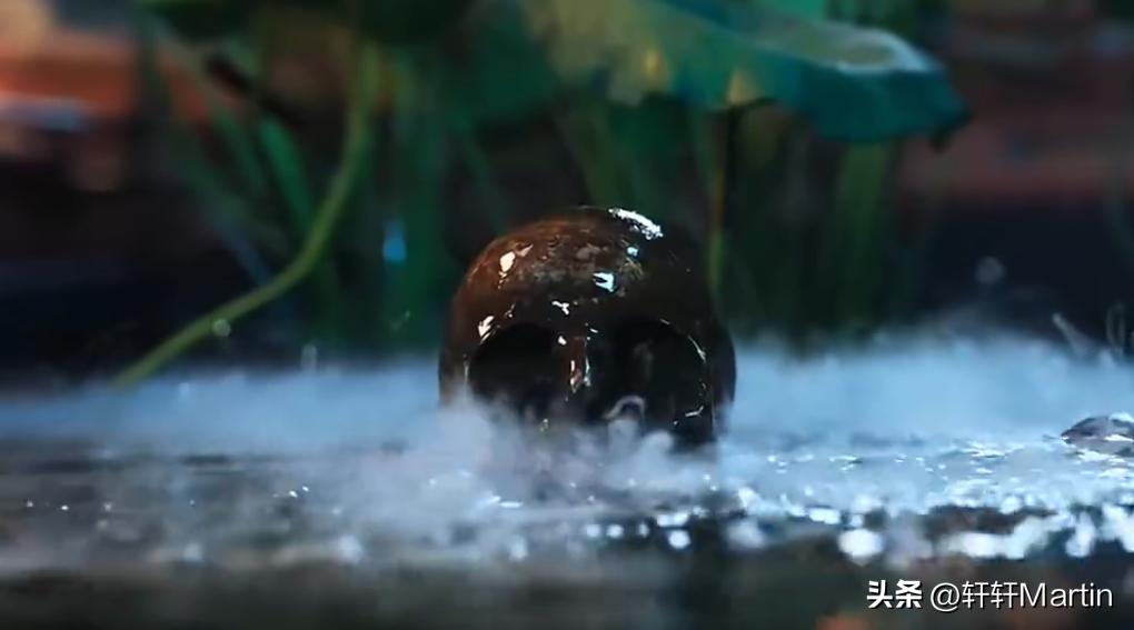 萧瑾瑜楚楚演技分析_御赐小仵作2_御赐小仵作2 续集评价