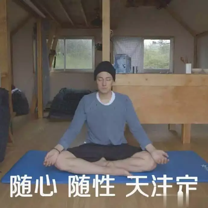 苏志燮本色回归剧情解析_金特务本色回归_金特务苏志燮收视破10