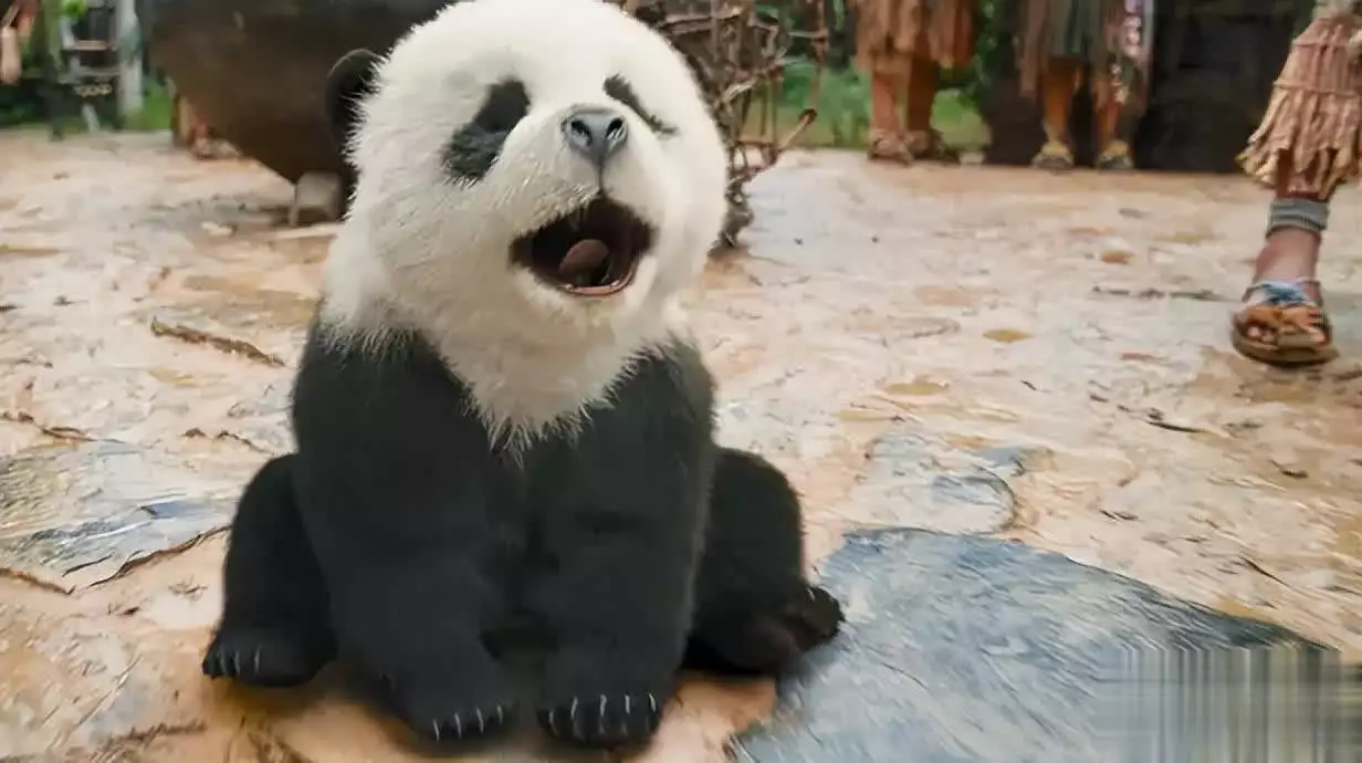 熊猫计划2_熊猫计划2 成龙电影 春节档票房